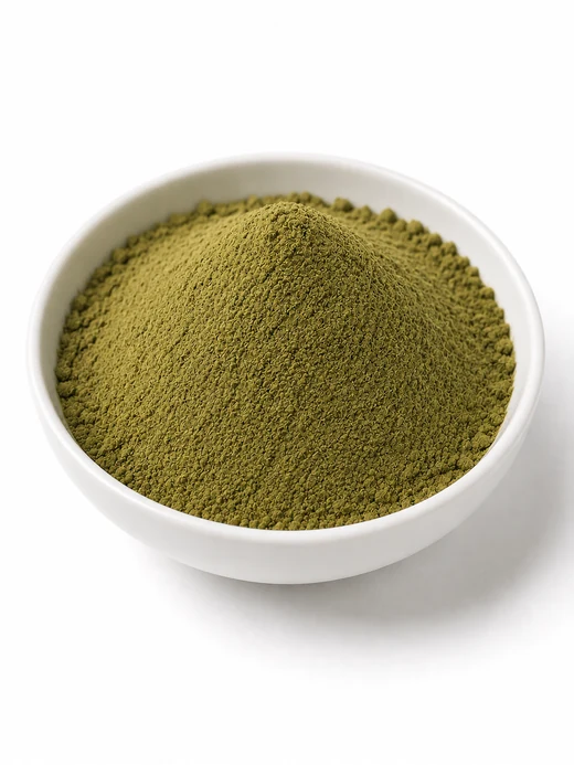 Brahmi extract powder (Bacopa monnieri) — green to greenish-brown fine powder standardized to bacosides, SV Botanica India