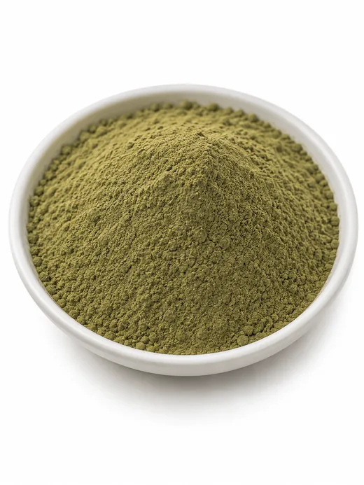 Moringa leaf dry extract powder (Moringa oleifera) standardised to 20% saponins — light brown fine powder, SV Botanica India