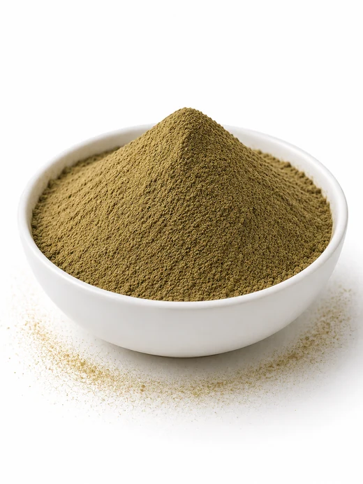 Senna extract powder — yellowish-brown to greenish-brown powder standardized to 20% sennosides, SV Botanica India