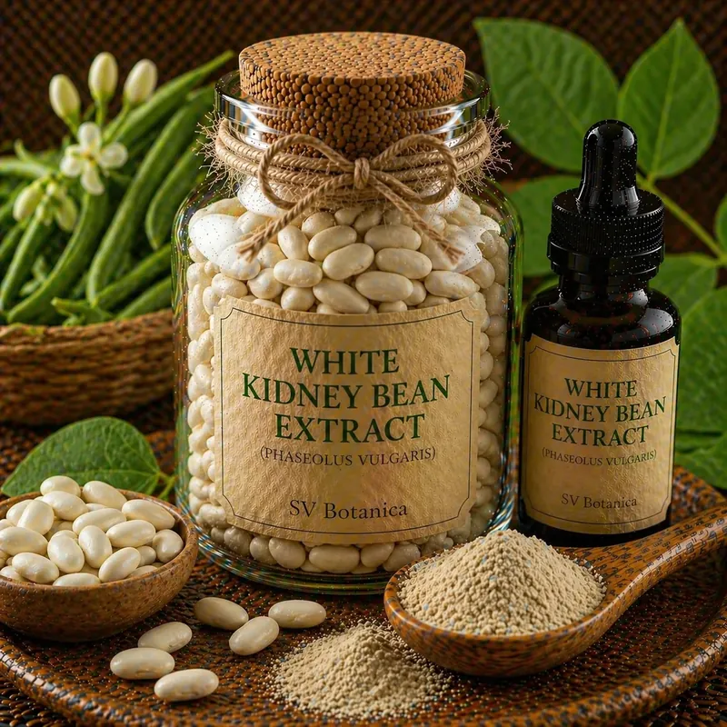 White kidney bean extract powder (Phaseolus vulgaris) standardised to alpha-amylase inhibitory activity 3,000 U/g — off-white to cream seed extract, SV Botanica India